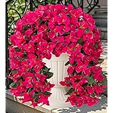 SugarHuLu Artificial Hanging Flowers for Outdoors Bougainvillea aArtificial Fake Outdoor Flowers 2pcs Fake Hanging Flowers for Outdoor Outside Summer Decoration for Front Door Balcony