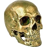 81BibKLNioL. AC UL160 SR160,160 Simbi: The Spirit of Water, Knowledge, and Magic