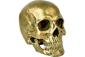 SEKKVY Resin Human Gold Skull Statues Halloween Decor Skeleton Outdoor Human Skull Model Golden Home Decoration (Removable)
