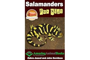 Salamanders For Kids
