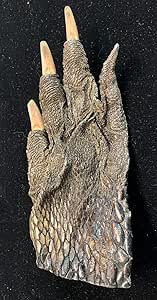 Amazon.com : Genuine Alligator Claw PAW Gator New Orleans Bayou : Other