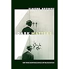 Dark Matters: On the Surveillance of Blackness