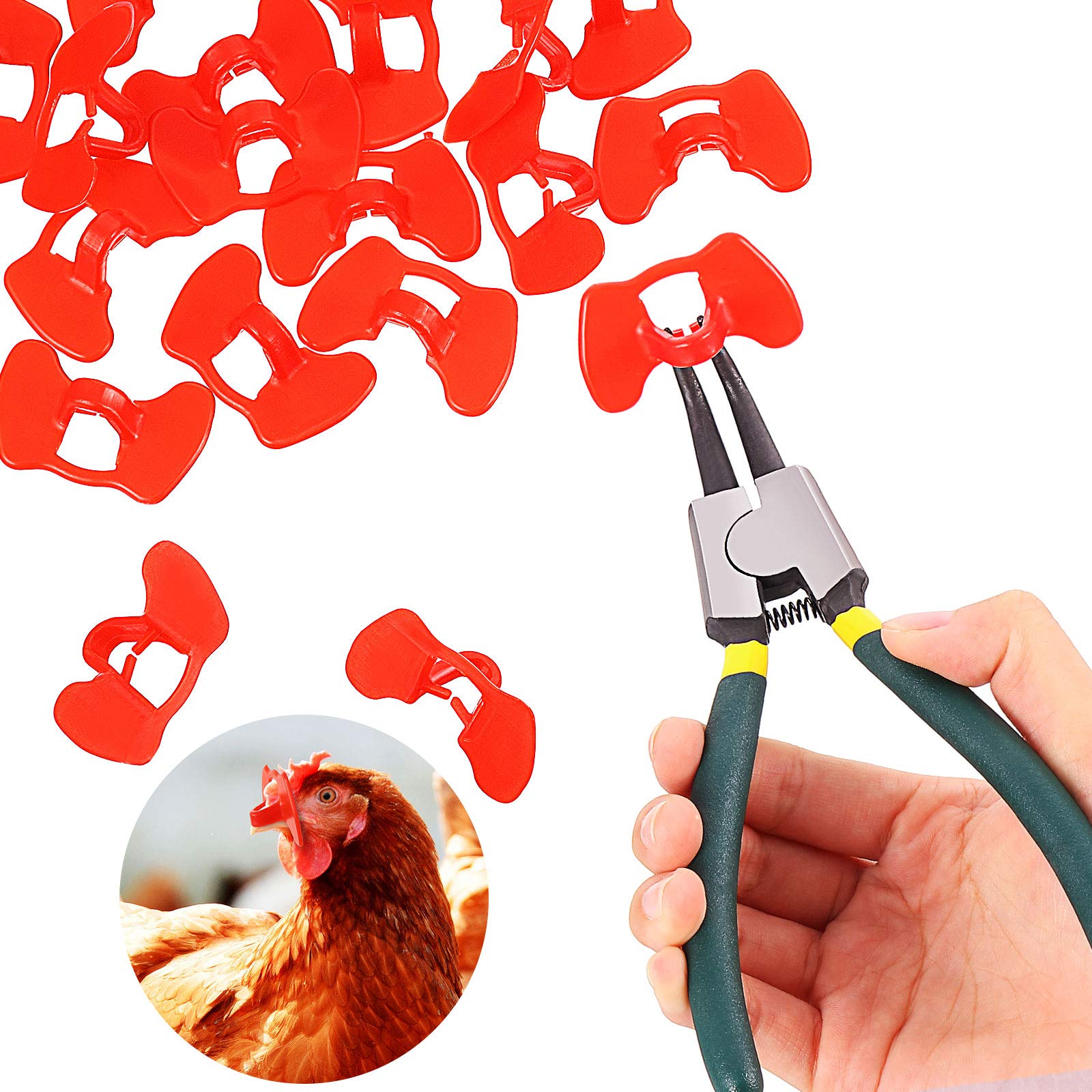 Photo 1 of Boao 61 Pieces Pinless Peepers for Chicken Blinders with Pliers Set Pheasant Poultry Blinders Spectacles Anti Pecking Eye Glasses Tool for Chicken Pheasant Eye Protector