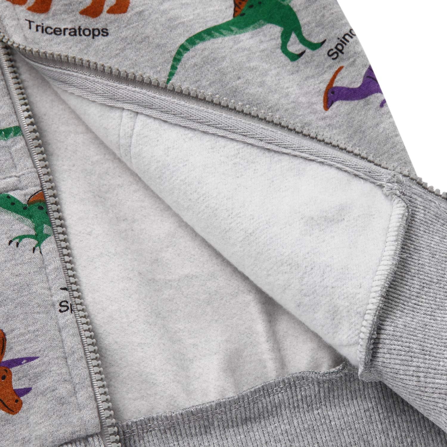 Toddler Boys Dinosaur Sweatshirts Cartoon Winter Long Sleeve Kids Sport Outdoor Pullover Tops Tees 2T-8T: Clothing