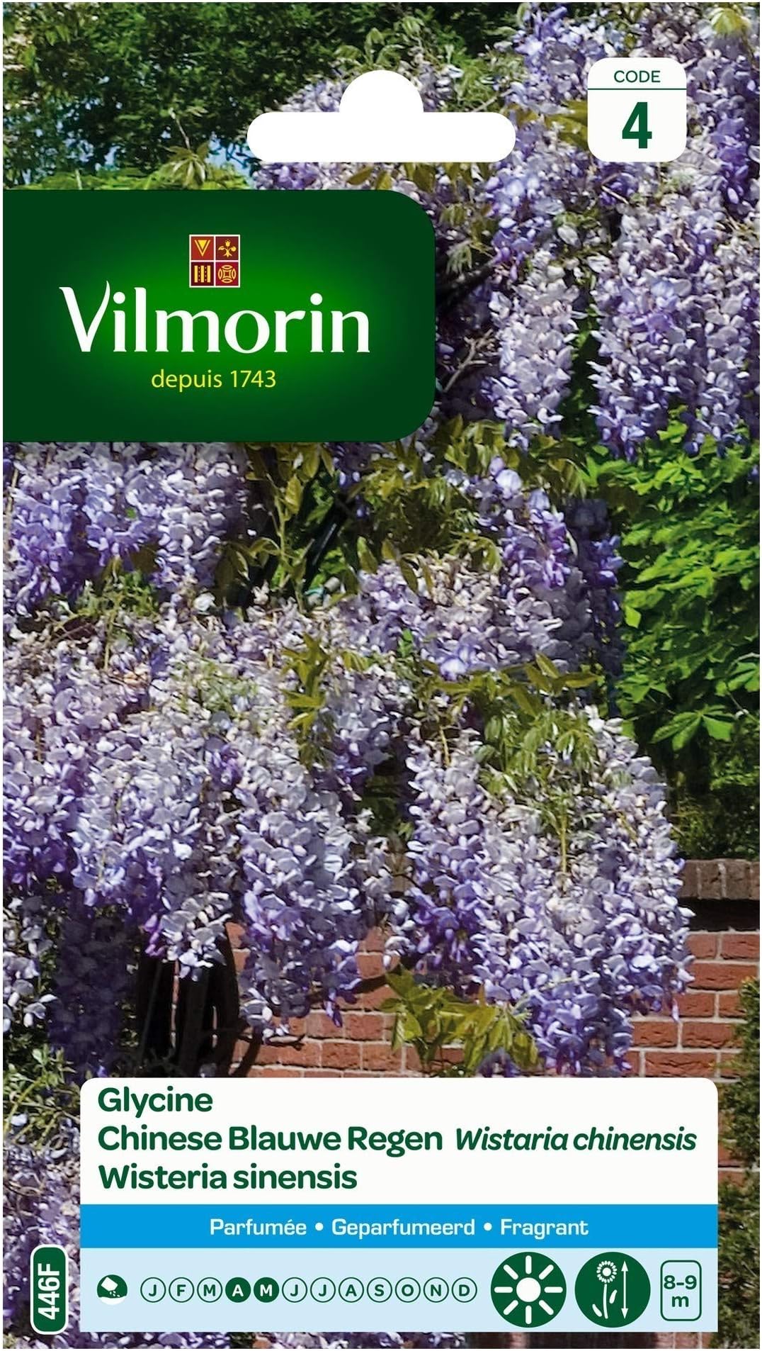 Seed Bag Glycine Vilmorin