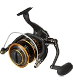 Daiwa BG2000 BG Saltwater Spinning Reel : Sports & Outdoors