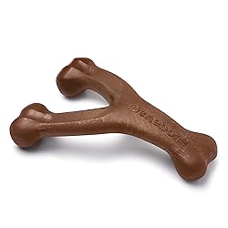 Benebone Wishbone Durable Dog Chew Toy for