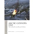 Arctic Convoys 1942: The Luftwaffe cuts Russia's lifeline (Air Campaign, 32)