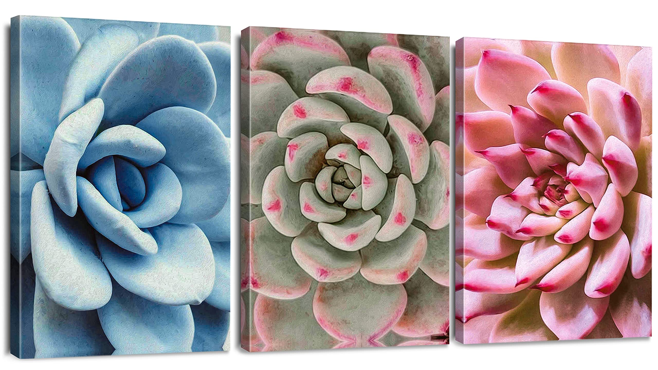 Sungeek 3 Pieces Canvas Wall Art Prints Modern Picture Framed Succulent Plants Artwork Paintings for Bedroom Living Room Kitchen Home Wall Decoration Paintings 30 x 40cm