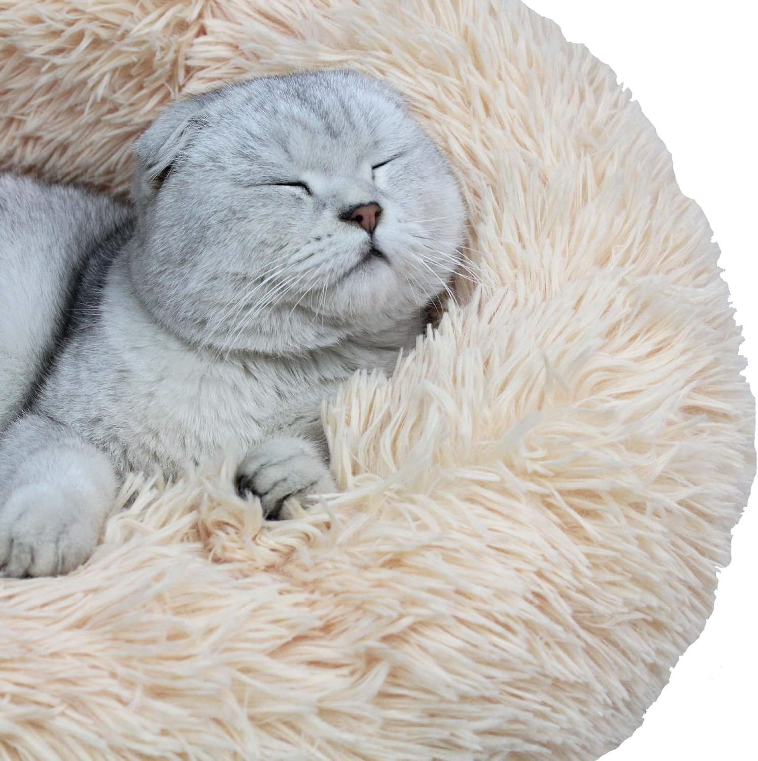 BODISEINT Modern Soft Plush Round Pet Bed for Cats or Small Dogs, Mini Medium Sized Dog Cat Bed Self Warming Autumn Winter Indoor Snooze Sleeping Cozy Kitty Teddy Kennel (M(23.6”Dx7.9 H), Champagne) : Pet Supplies