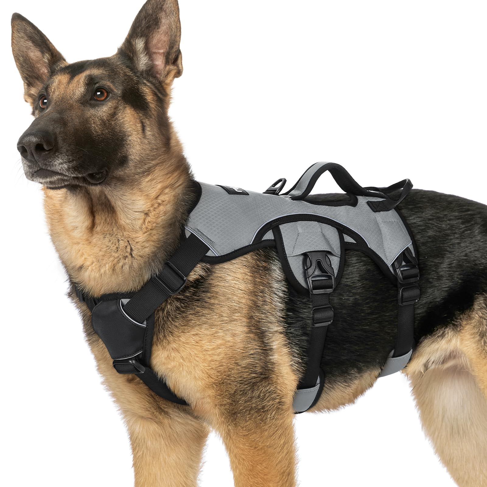 Photo 1 of rabbitgoo Escape Proof Dog Harness, Soft Padded Full Body Pet Harness, Reflective Adjustable No Pull Vest with Lift Handle and Leash Clip for Large Dogs Walking Hiking Training, XL, Grey