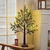 PXBNIUYA 2 FT Christmas Tree with 72 LED Lights, Christmas Decorations Indoor, Fairy Light Spirit Tree for Home Decor, Lighted Birch Trees with Pine Needles, USB and 3AA Battery and Timer(Warm White)