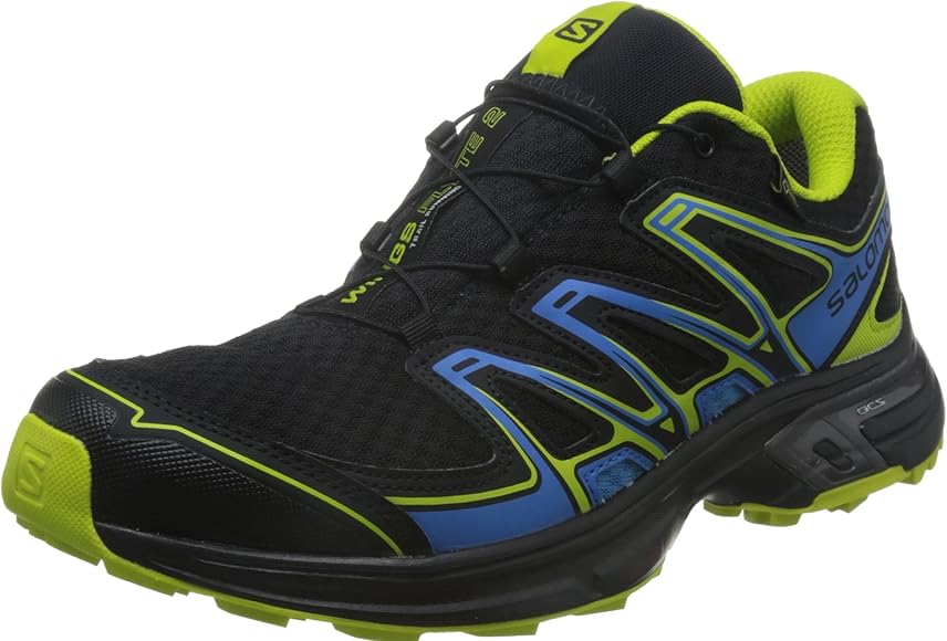 salomon wings flyte 2 gtx