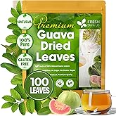 FreshDrinkUS, Premium 100+ Natural Guava Leaves, Whole Dried Leaves, 100% Pure, Natural Guava Loose Leaf Herbal Tea, No Additives, No Caffeine, Vegan