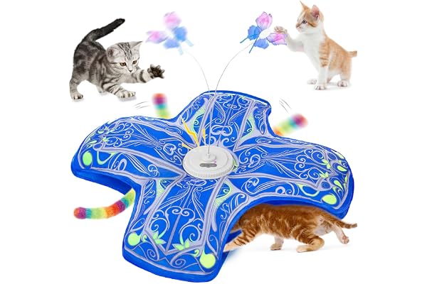Qraxond Interactive Cat Toys for Indoor Cats,[Newly Upgraded] Rechargeable Touch Activated Hide and Seek Kitten Toy with Flut