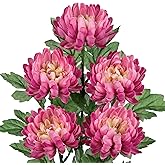 Hollyone 5Pcs Fake Mums Flowers Pink Artificial Chrysanthemum Flowers Silk 22.8inch Long Stem Floral Arrangements Bouquets Faux Spider Mum Flower Pincushion Flower Bush Spring Home Decor