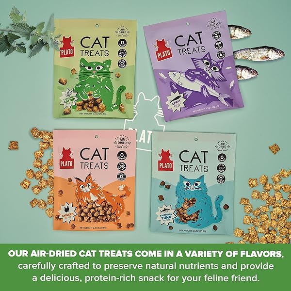 PLATO PET TREATS CAT TREATS – SINGLE INGREDIENT, HEALTHY CHICKEN CATNIP TREATS FOR INDOOR CATS – AIR DRIED – 2.5 OZ