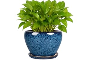 Deep Dream 6 Inch Plant Pots- Ceramic Planter Pot with Drainage Hole and Saucer, Round Flower Pot for Indoor Outdoor Succulent, Snake Plants and Cactus, Blue