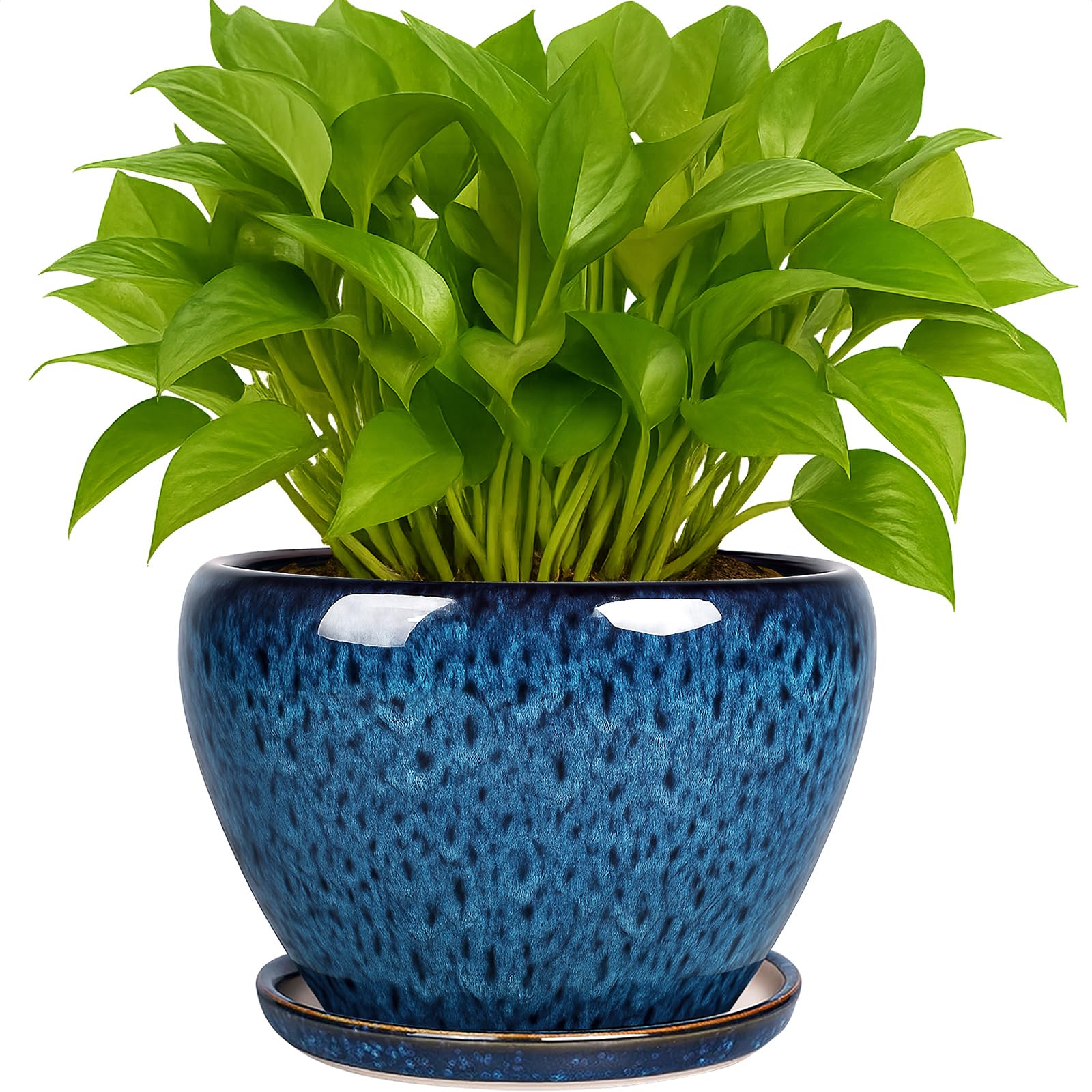 Photo 1 of Deep Dream 6 Inch Plant Pots- Ceramic Planter Pot with Drainage Hole and Saucer, Round Flower Pot for Indoor Outdoor Succulent, Snake Plants and Cactus, Blue