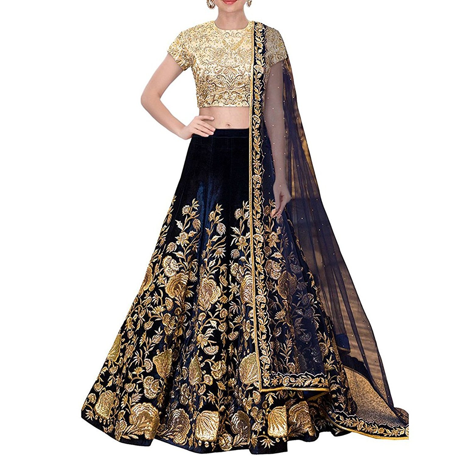 anghan brothers velvet lehenga choli