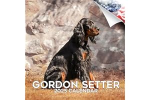 MEGACALENDARS 2024 2025 Gordon Setter Calendar - Dog Breed Monthly Wall Calendar - 12 x 24 Open - Thick No-Bleed Paper - Giftable - Academic Teacher's Planner Calendar Organizing & Planning - Made in USA