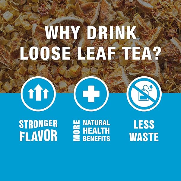 TIESTA TEA LOOSE LEAF FILTERS FOR BREWING, DISPOSABLE INFUSER FOR HOT & ICED DRINKS, EASY-FILL STEEPER, UNBLEACHED PAPER, SINGLE-CUP INFUSER FOR LOOSE LEAVES, 100 EMPTY BAGS