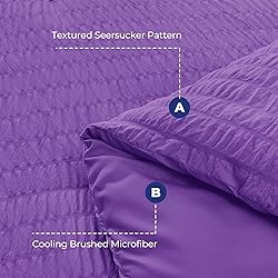 HYMOKEGE Dark Purple Full Size Comforter Sets