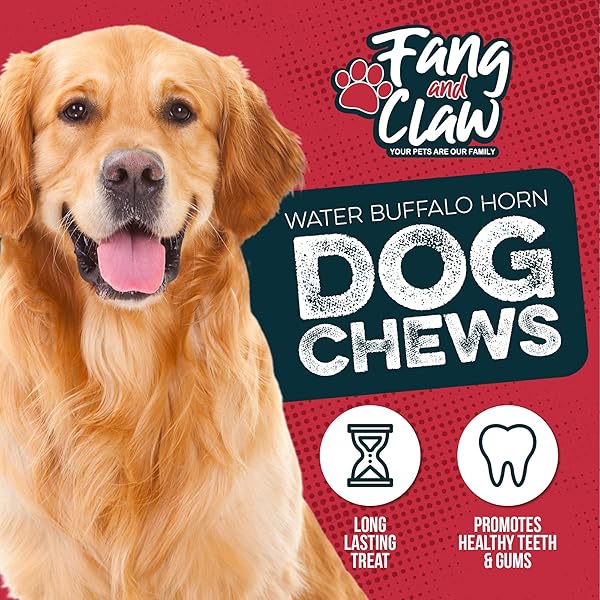 FANG AND CLAW WATER BUFFALO HORN DOG CHEW 4 PACK (MEDIUM 6 INCH), LONG-LASTING NATURAL CHEWS FOR AGGRESSIVE CHEWERS, SINGLE-INGREDIENT, NO RAWHIDE