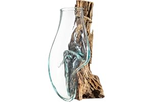 Cape Craftsmen Wall Mounted Molten Glass Hanging Terrarium on Driftwood, Indoor Wall Planter Vase on Wood, Propagation Statio