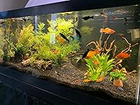 Review Image by Chris B. Garza Chris B. Garza