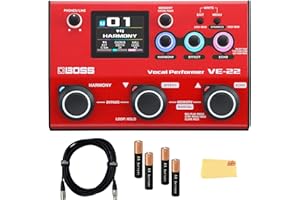 Boss VE-22 Vocal Performer Bundle with Gearlux XLR Cable, 4 AA Batteries, and Austin Bazaar Polishing Cloth