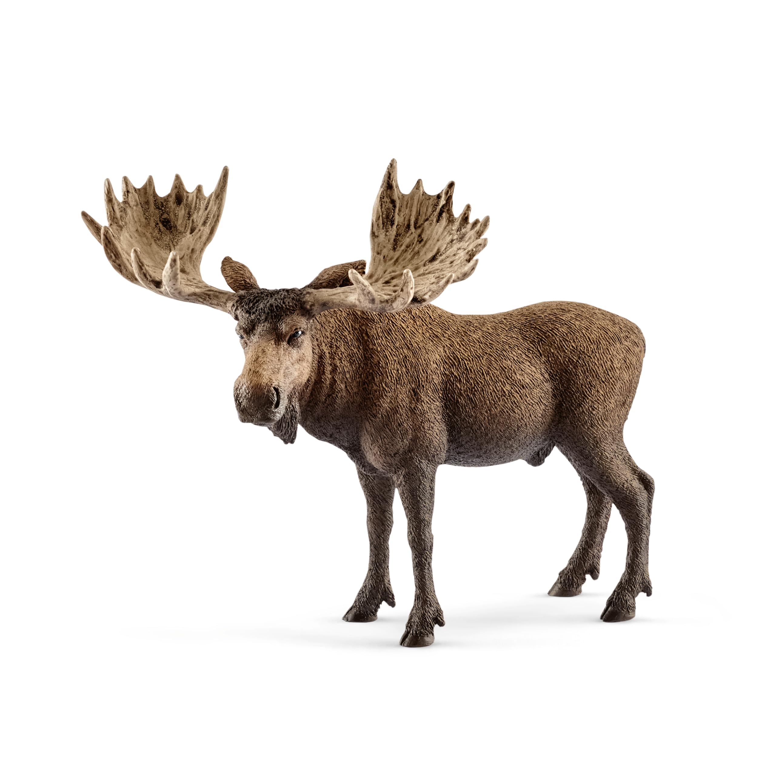SCHLEICH Wild Life Moose Bull Figurine - Wild Animal Toy Figurine, Durable for Education and Imaginative Play for Boys and Girls, Gift for Kids Ages 3+