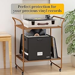 DocSafe Vinyl Record Storage Box with