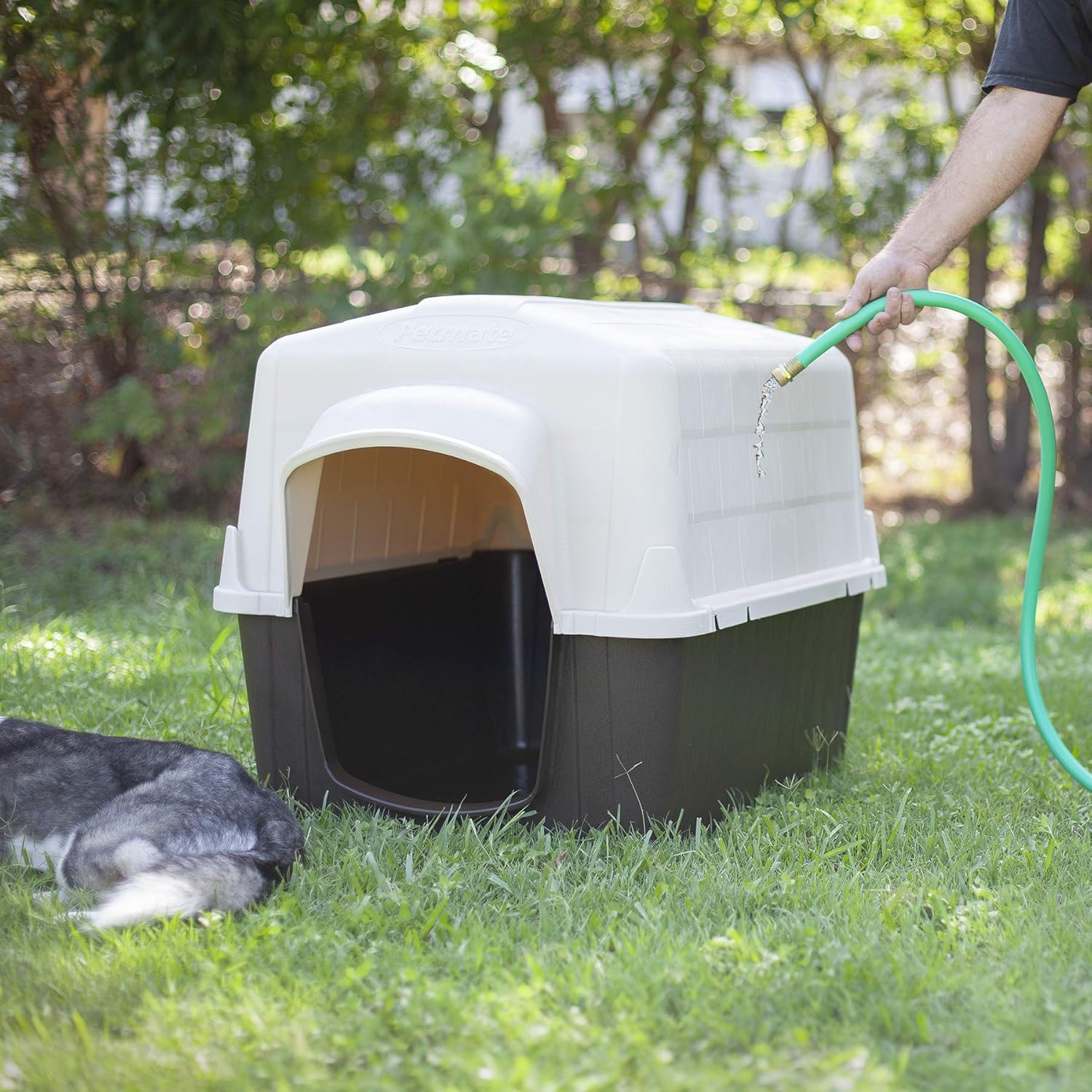 Petmate Aspen Pet Petbarn Dog House Snow and Rain Diverting Roof Raised Floor No-Tool Assembly 4 Sizes Available, Multi, UP to 15 LBS : Dog Houses : Pet Supplies
