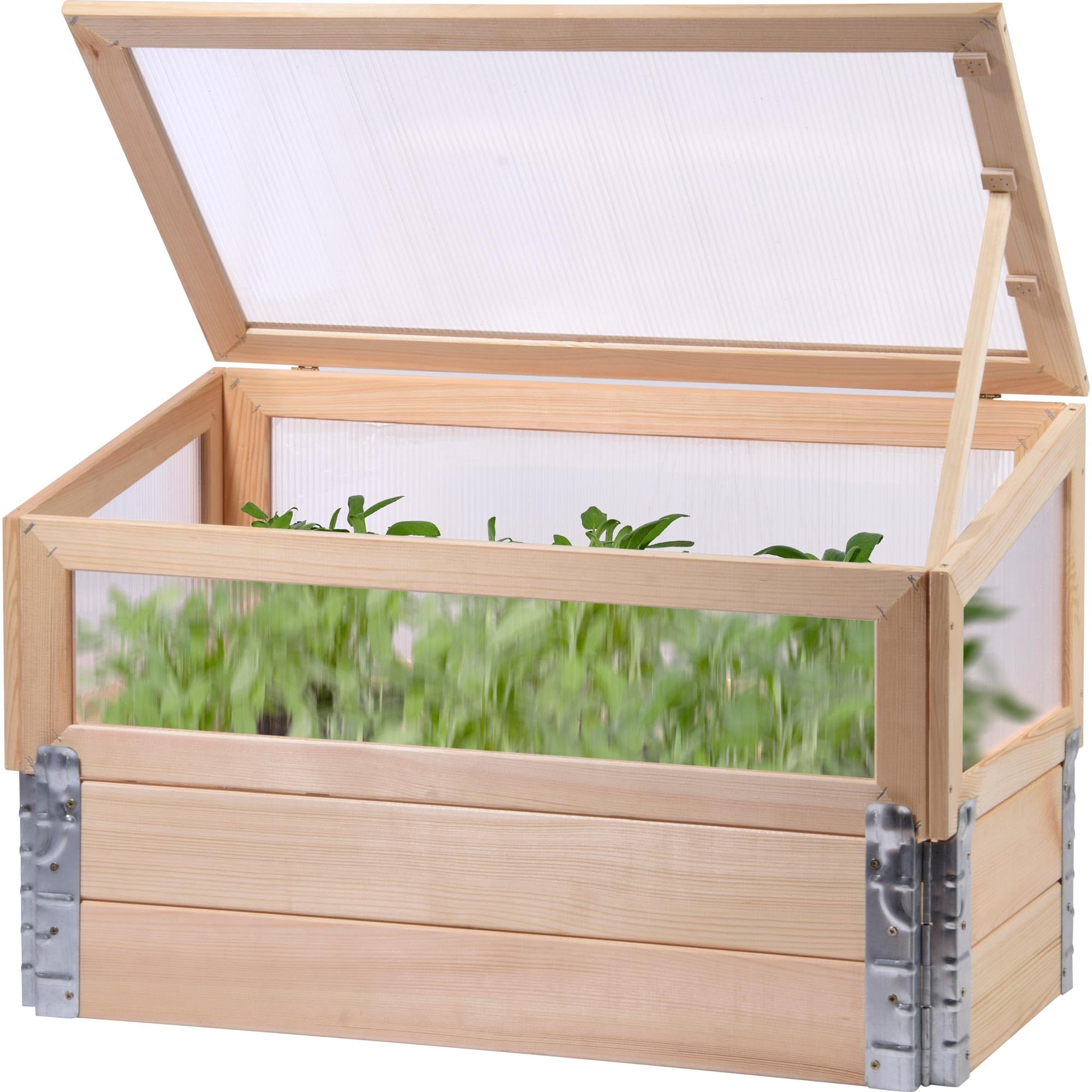 dobar 58413e Cold Frame with Practical Plant Pot/Hinged Plexiglass Box for Growing Young Plants/Size L 76 x 40 x 50 cm Pine