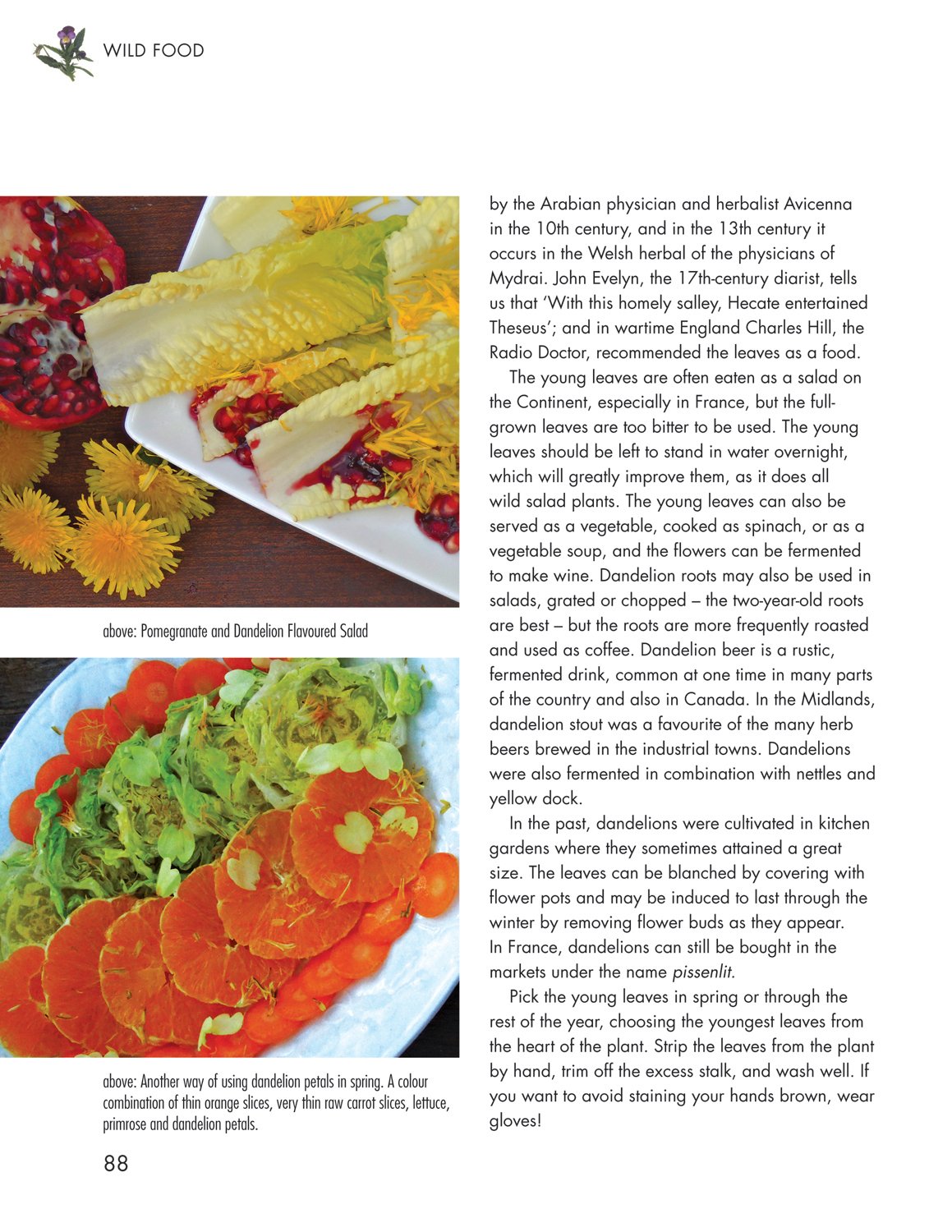 Wild Food A Complete Guide For Foragers Phillips Roger 0884335370263 Amazon Com Books