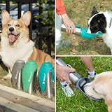 LumoLeaf 800ml Portable Dog Water Bottle Stainless Steel Grey view 7