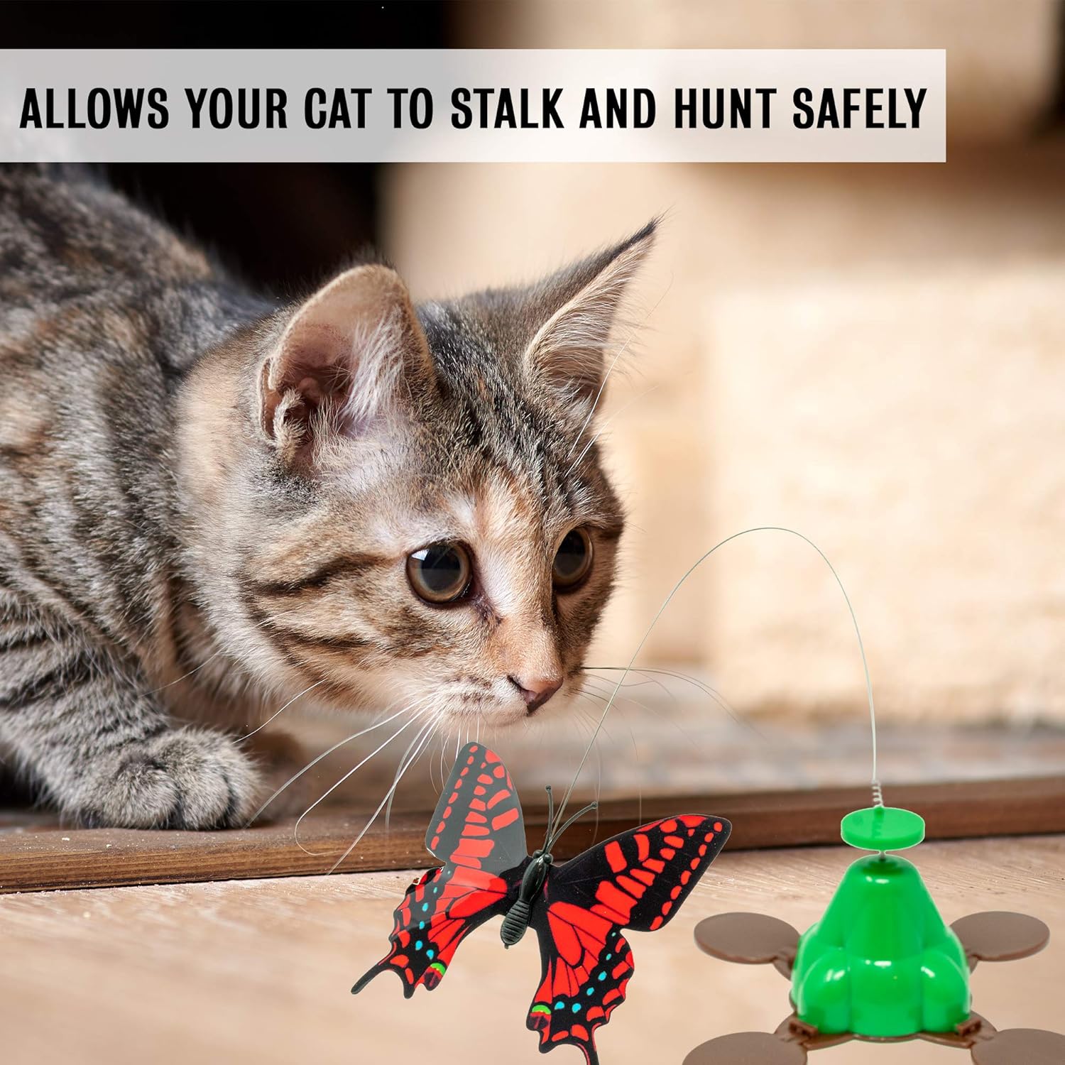 Pet Zone Jouet Interactif Pour Chat Large Amazon Ca Animalerie