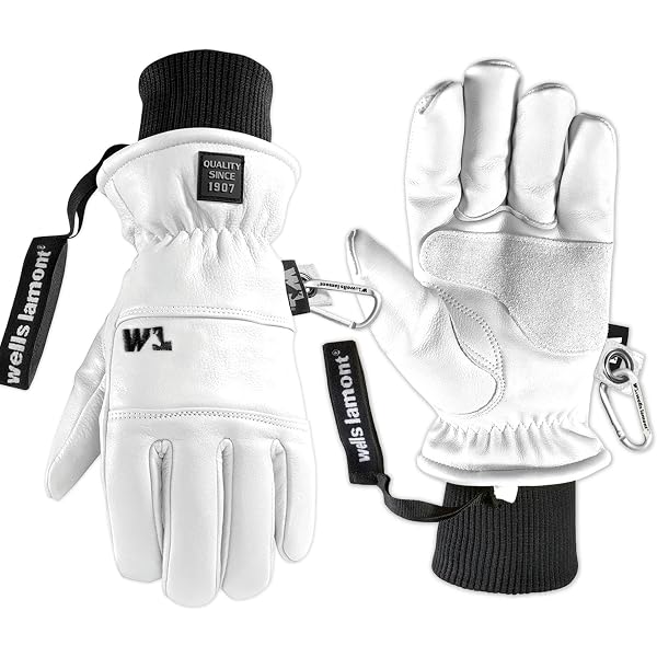 Amazon.com : Hestra Windstopper Tour Glove - Fleece Glove for