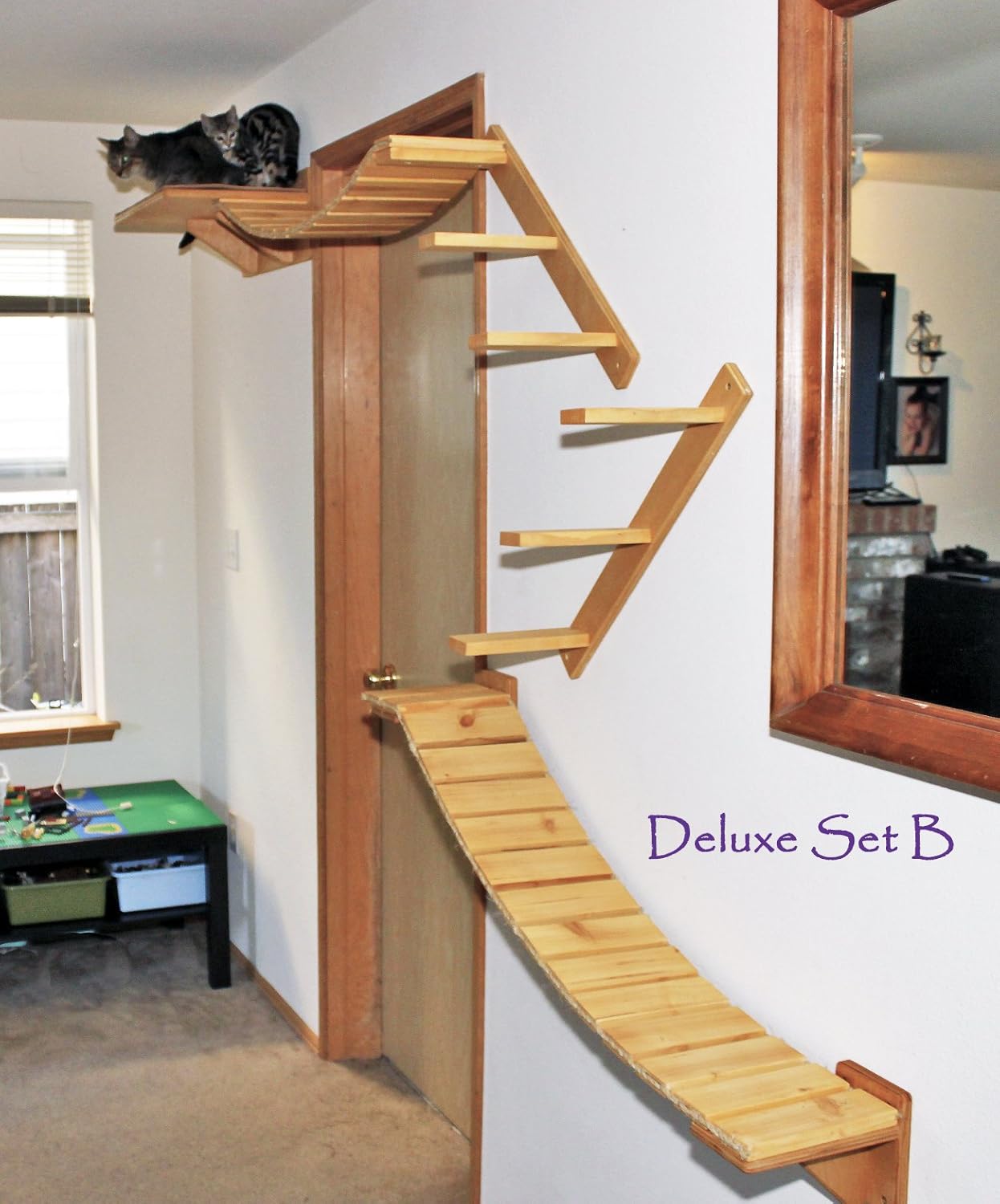 cat climbing furniture