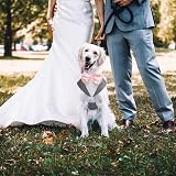 PUMYPOREITY Dog Tuxedo Set with Bandana Small Medium Large Grey S view 6