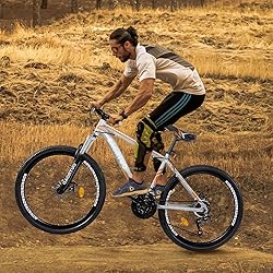 PanAme Hardtail Mountian Bikes with 21 Speeds
