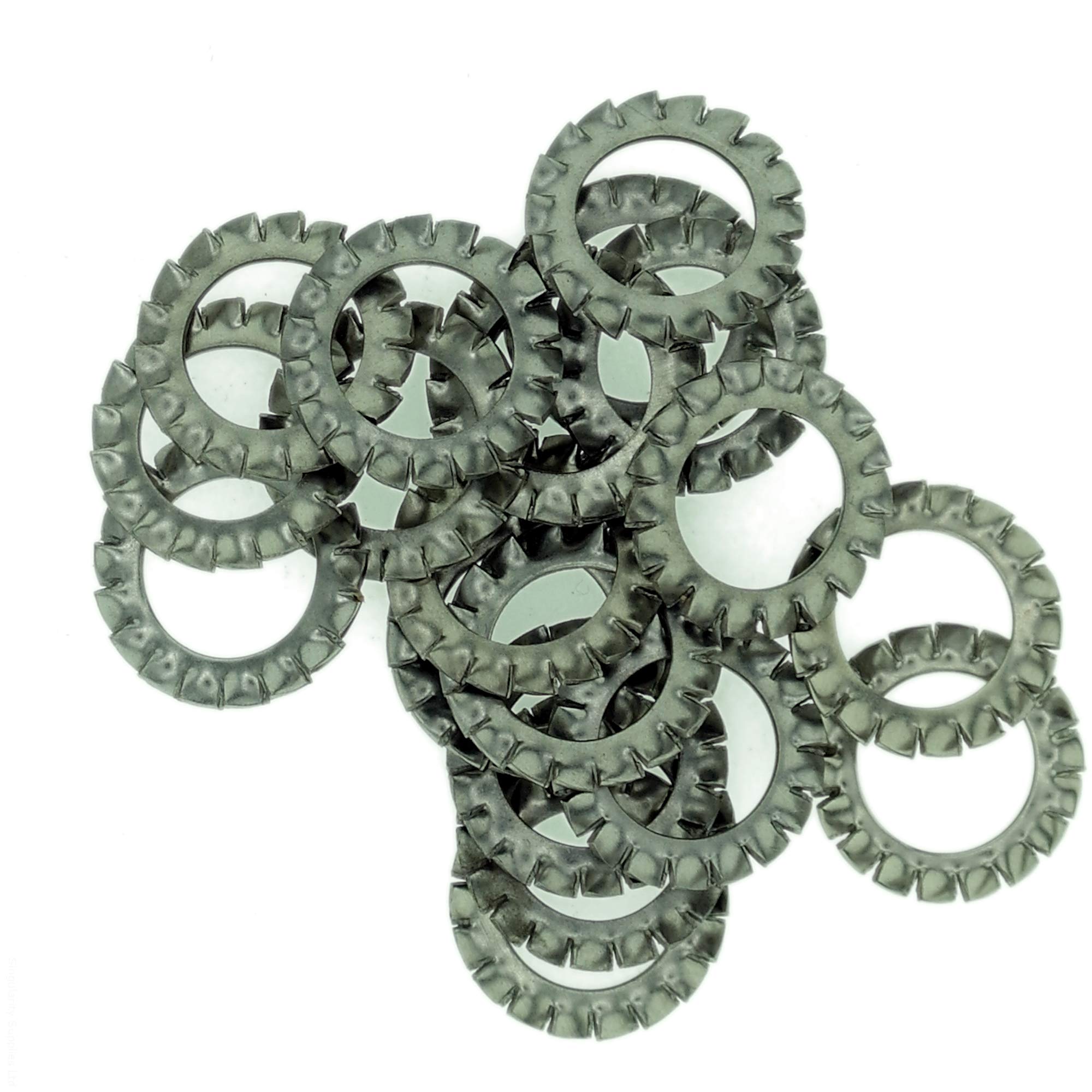 M20 (20mm) Shakeproof Washer (External Serrated) - Stainless Steel (A2) (Pack of 10) — image 1
