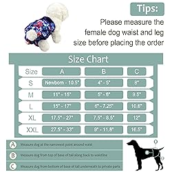 Female Dog Diapers - Premium Reusable Diapers for