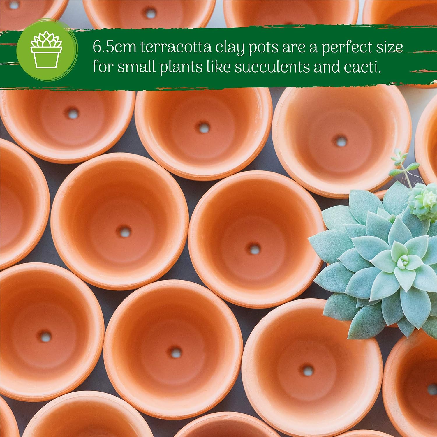 Green Thumbz Terracotta Plant Pots, 6.5cm x 16 Pack Small Plant Pots, Multi Purpose Mini Terracotta Pots for Plants Flowers - Image 5
