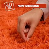 Aspire Homeware Round Rug 120x120cm Anti Slip Soft Shaggy Thick Pile view 5