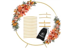 JC HUMMINGBIRD 6.5FT Round Arch Stand Circle Balloon Arch Stand Metal Backdrop Arch Frame Wedding Arches for Ceremony Birthday Party Baby Shower Decoration (Gold)