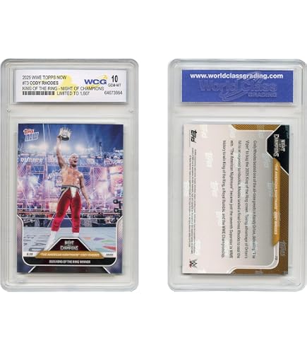 2025 WWE RAW Topps Seth Rollins/CM Punk Rivals in Cage Card #32