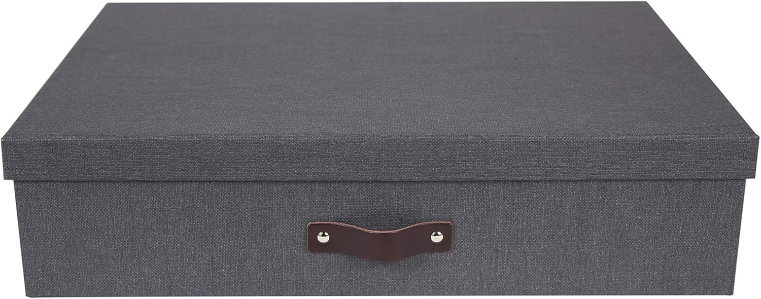 Bigso Box of Sweden 12 Compartment Storage Box Storage Box with Lid