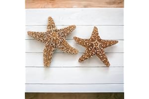 TUMBLER HOME Sugar Starfish, 4" - 6" inch Large Starfish, Sea Star, Starfish Decor, Aquarium Decor, Fish Tank Decor, Starfish for Crafts, Christmas Ornaments, Real Starfish 2 Pack